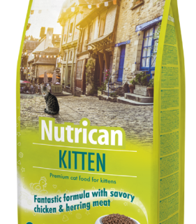 Kitten Chicken Nutrican