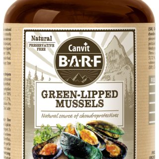 Green Lipped Mussel
