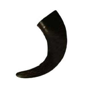 Buffalo horn