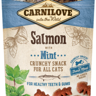 Cat Snack Crunchy Salmon with Mint