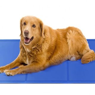 Στρώμα ψύξης Cool Mat