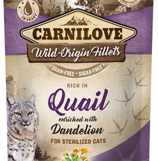 Cat Pouches Quail enriched with Dandelion